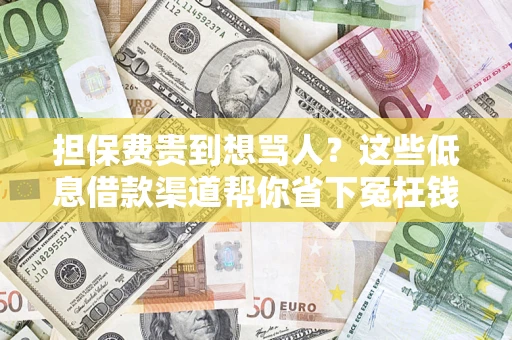 北京担保费贵到想骂人？这些低息借款渠道帮你省下冤枉钱