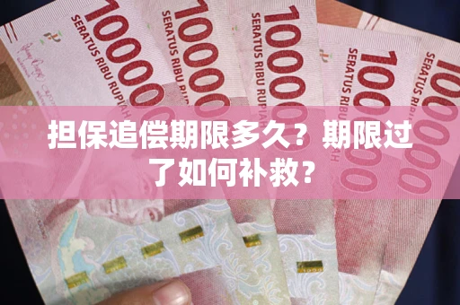北京担保追偿期限多久？期限过了如何补救？