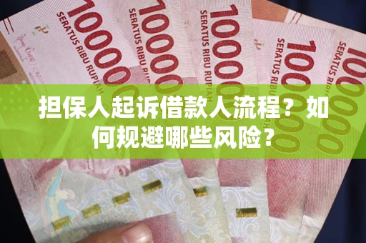 北京担保人起诉借款人流程？如何规避哪些风险？