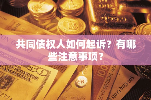 北京共同债权人如何起诉？有哪些注意事项？
